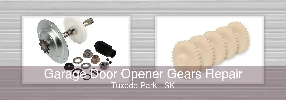 Garage Door Opener Gears Repair Tuxedo Park - SK