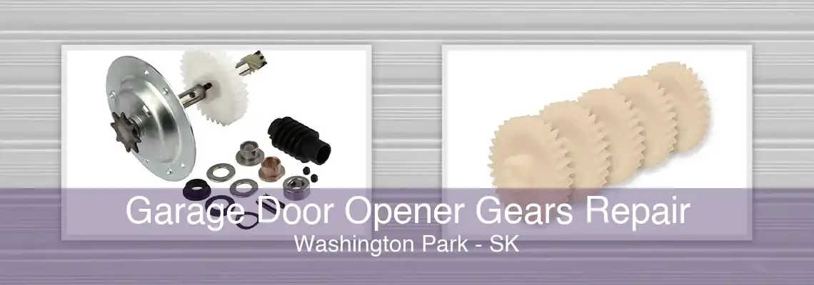 Garage Door Opener Gears Repair Washington Park - SK