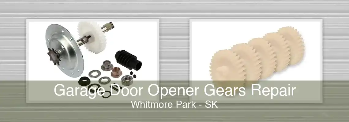 Garage Door Opener Gears Repair Whitmore Park - SK