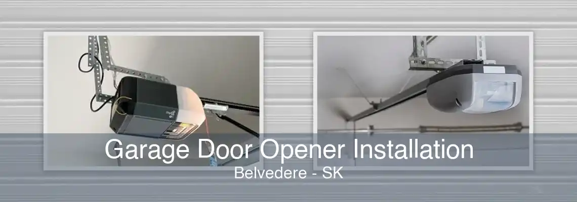 Garage Door Opener Installation Belvedere - SK