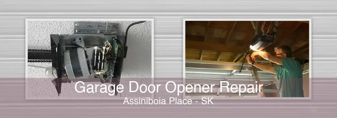 Garage Door Opener Repair Assiniboia Place - SK