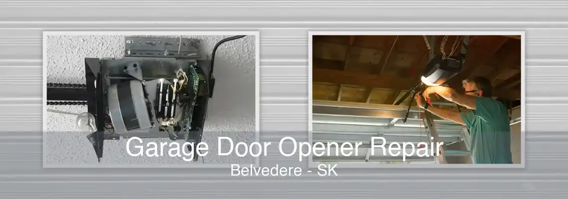 Garage Door Opener Repair Belvedere - SK