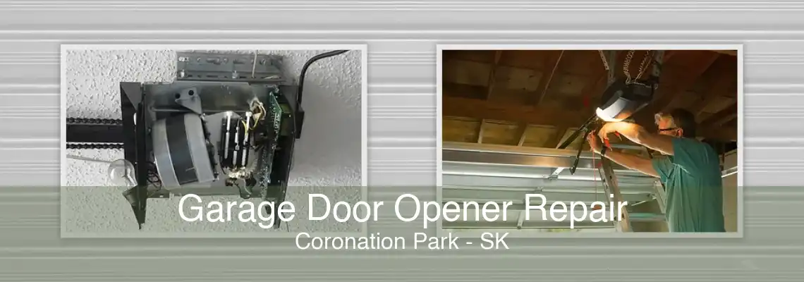 Garage Door Opener Repair Coronation Park - SK