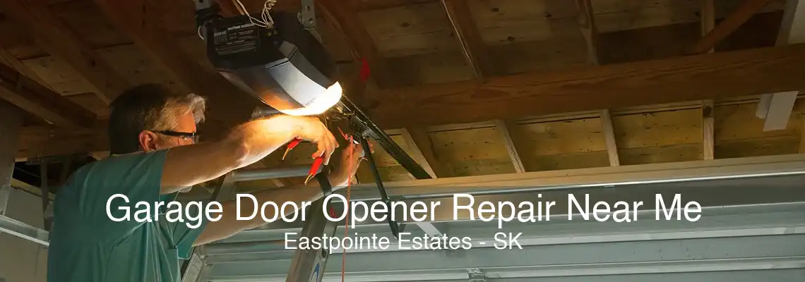 Garage Door Opener Repair Near Me Eastpointe Estates - SK