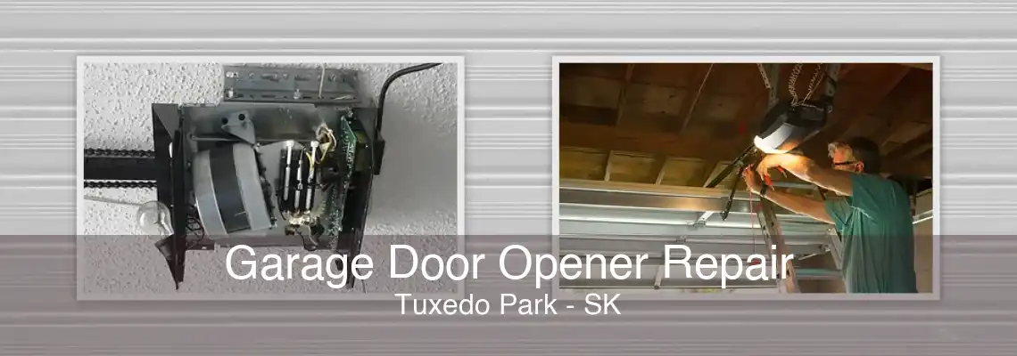 Garage Door Opener Repair Tuxedo Park - SK