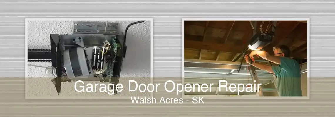 Garage Door Opener Repair Walsh Acres - SK