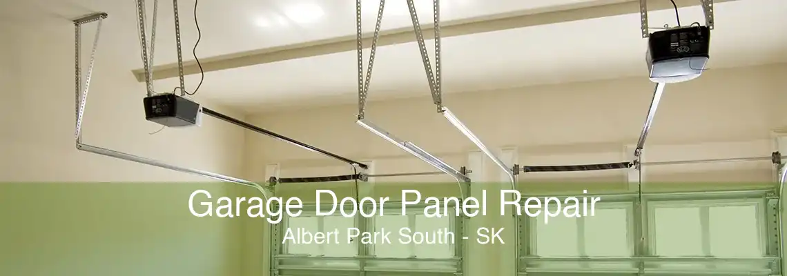Garage Door Panel Repair Albert Park South - SK
