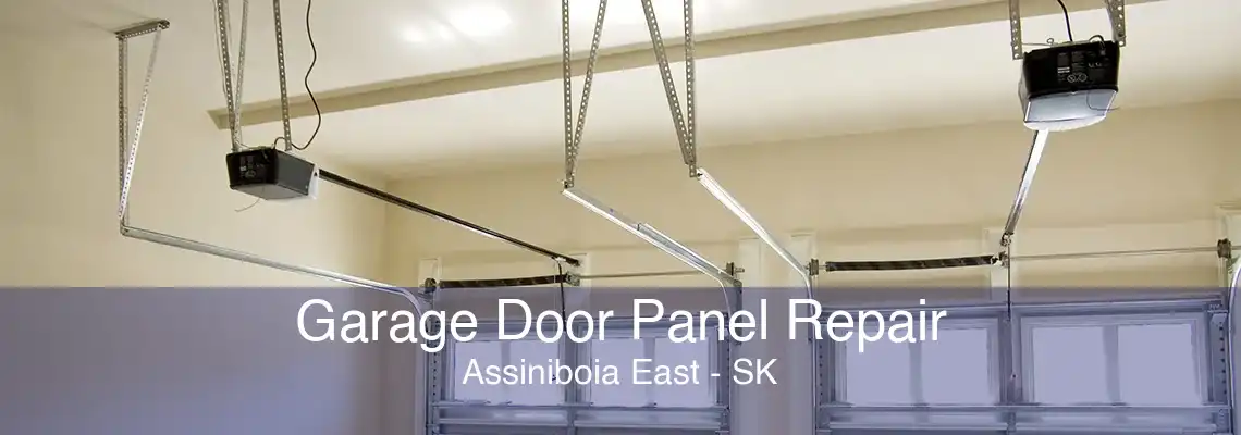 Garage Door Panel Repair Assiniboia East - SK