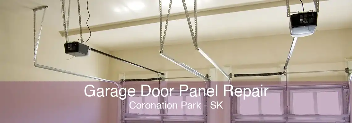 Garage Door Panel Repair Coronation Park - SK