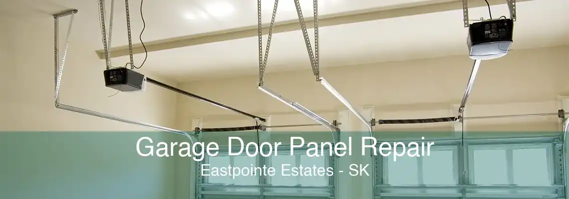 Garage Door Panel Repair Eastpointe Estates - SK