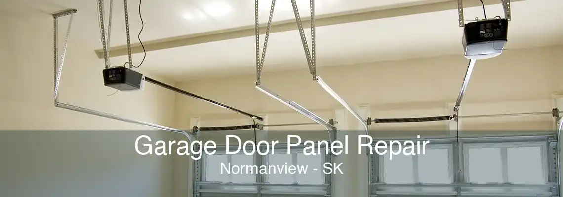 Garage Door Panel Repair Normanview - SK