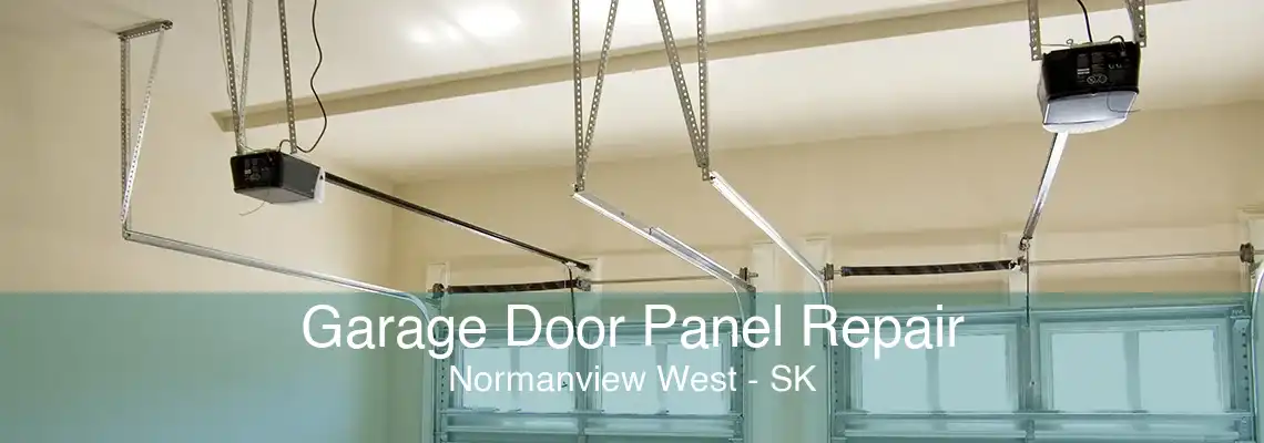 Garage Door Panel Repair Normanview West - SK
