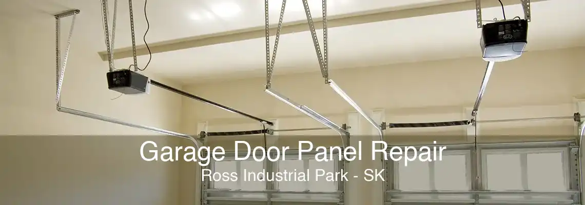 Garage Door Panel Repair Ross Industrial Park - SK