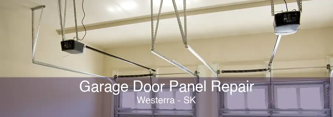 Garage Door Panel Repair Westerra - SK