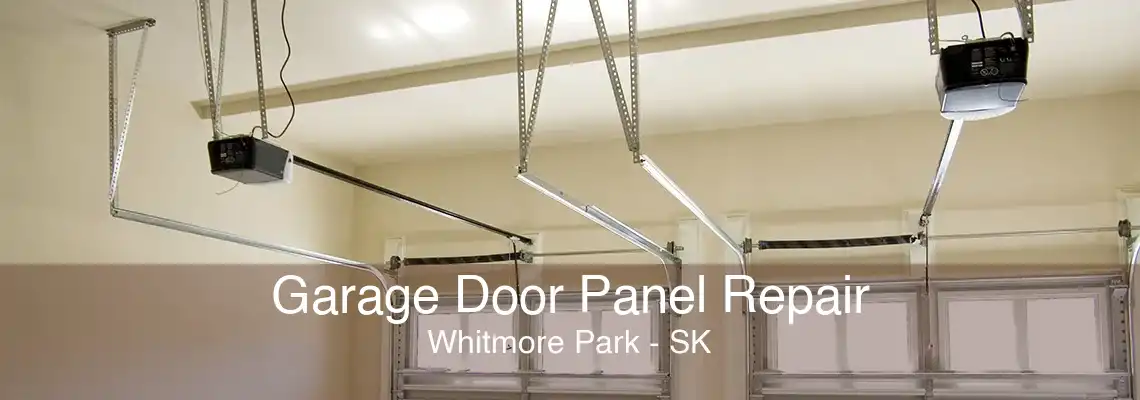 Garage Door Panel Repair Whitmore Park - SK