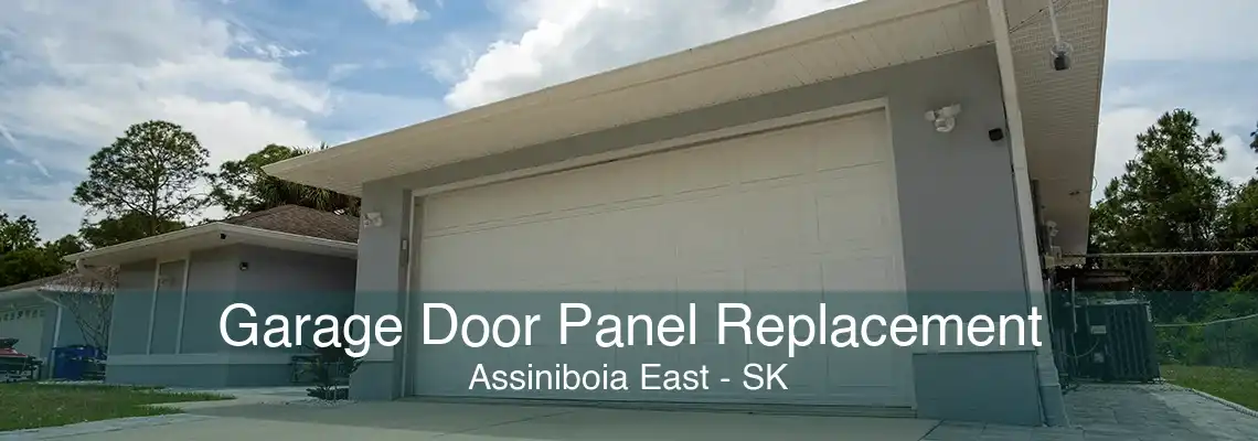 Garage Door Panel Replacement Assiniboia East - SK
