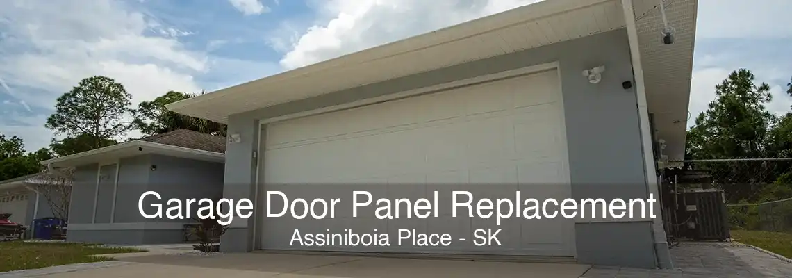 Garage Door Panel Replacement Assiniboia Place - SK