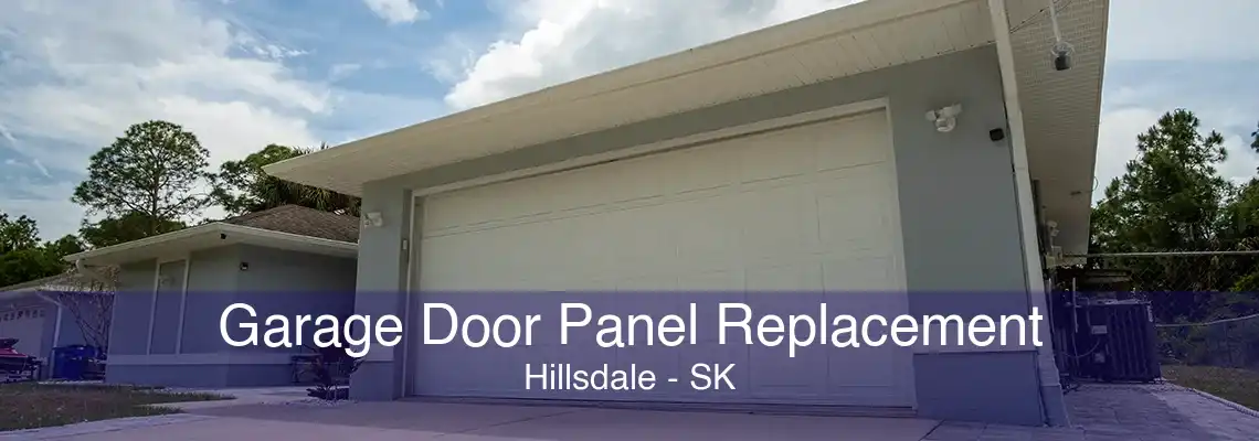 Garage Door Panel Replacement Hillsdale - SK