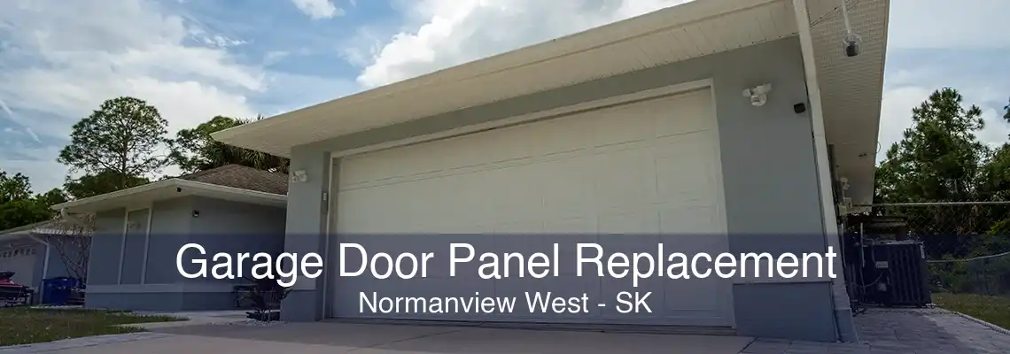 Garage Door Panel Replacement Normanview West - SK