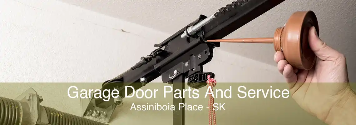 Garage Door Parts And Service Assiniboia Place - SK