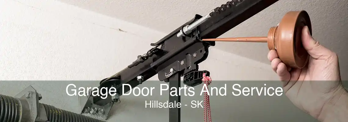 Garage Door Parts And Service Hillsdale - SK