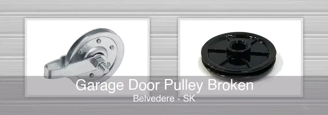 Garage Door Pulley Broken Belvedere - SK