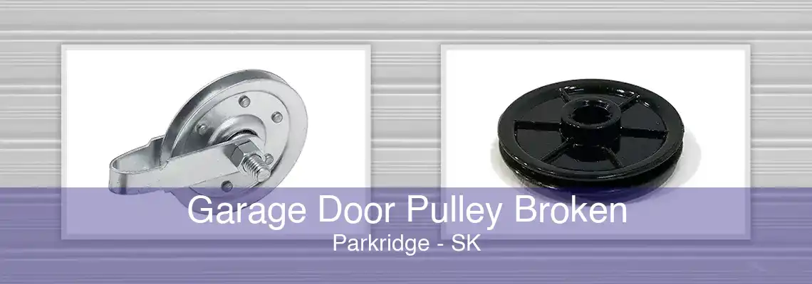 Garage Door Pulley Broken Parkridge - SK