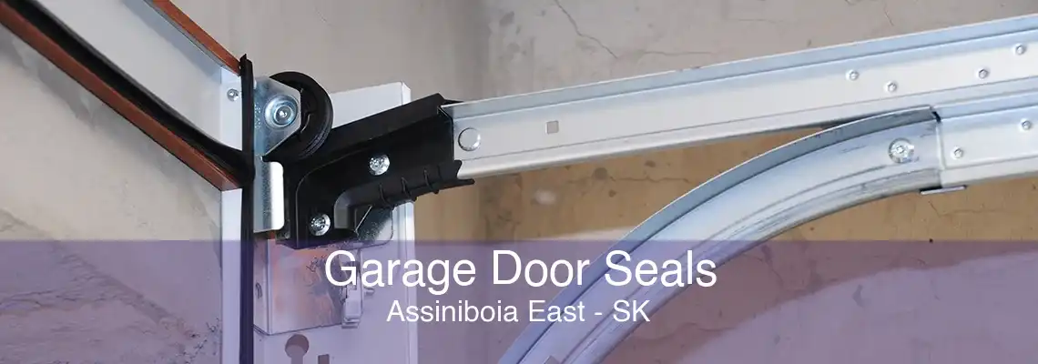 Garage Door Seals Assiniboia East - SK