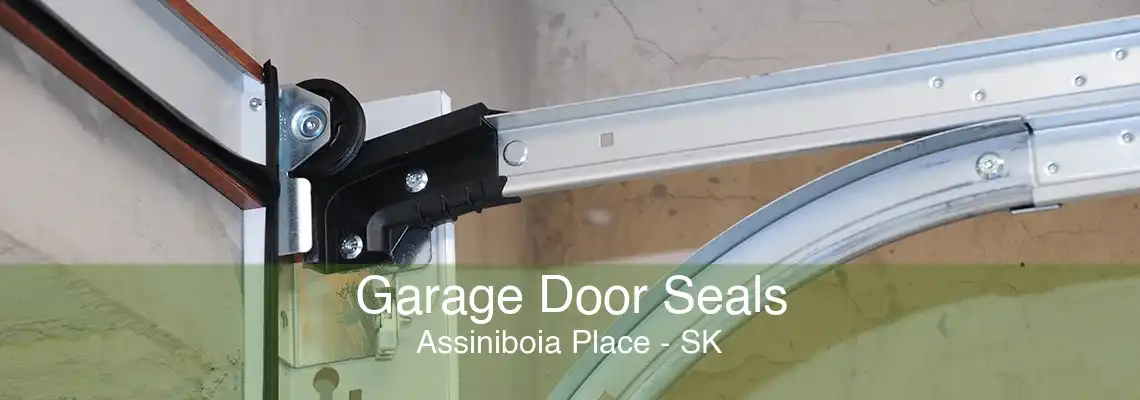 Garage Door Seals Assiniboia Place - SK
