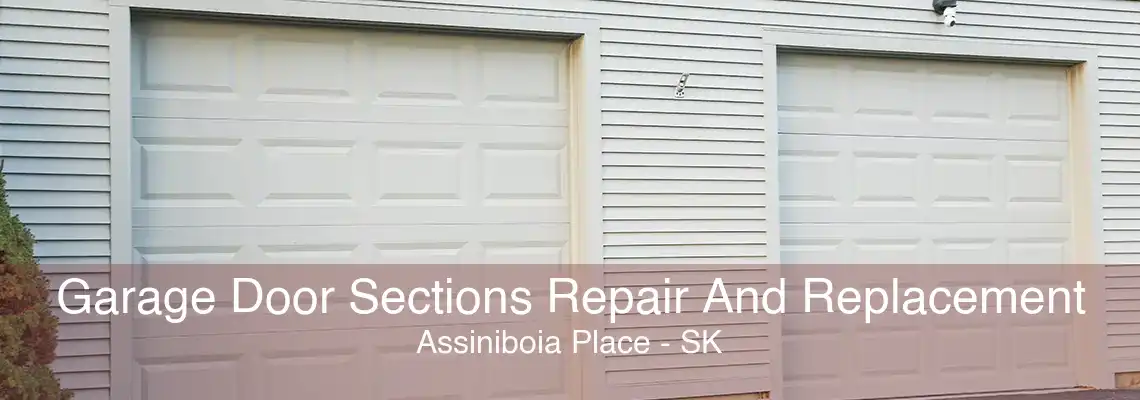 Garage Door Sections Repair And Replacement Assiniboia Place - SK
