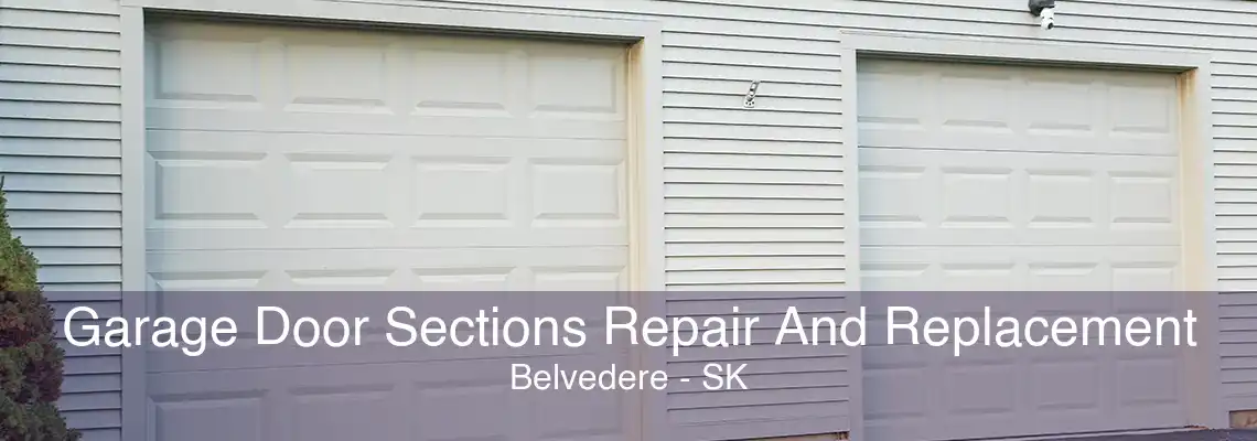 Garage Door Sections Repair And Replacement Belvedere - SK