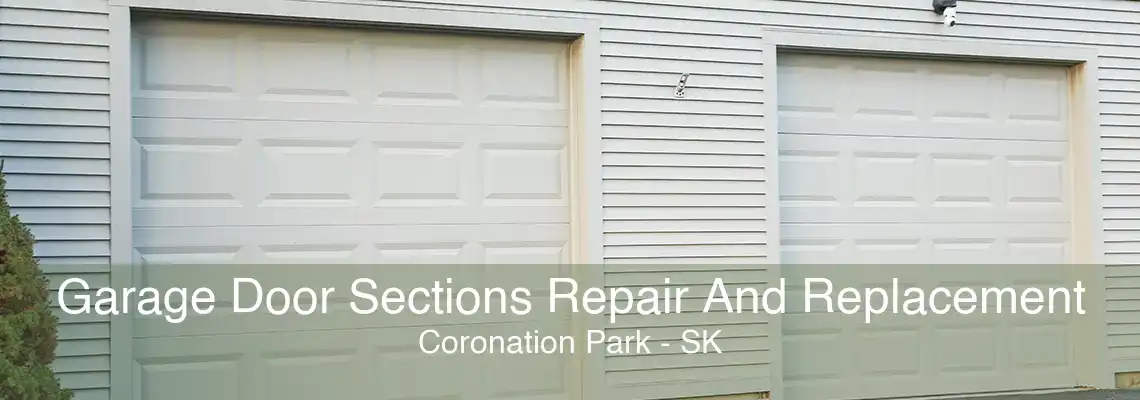 Garage Door Sections Repair And Replacement Coronation Park - SK