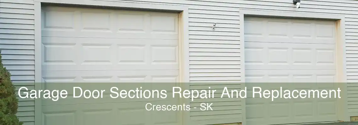 Garage Door Sections Repair And Replacement Crescents - SK