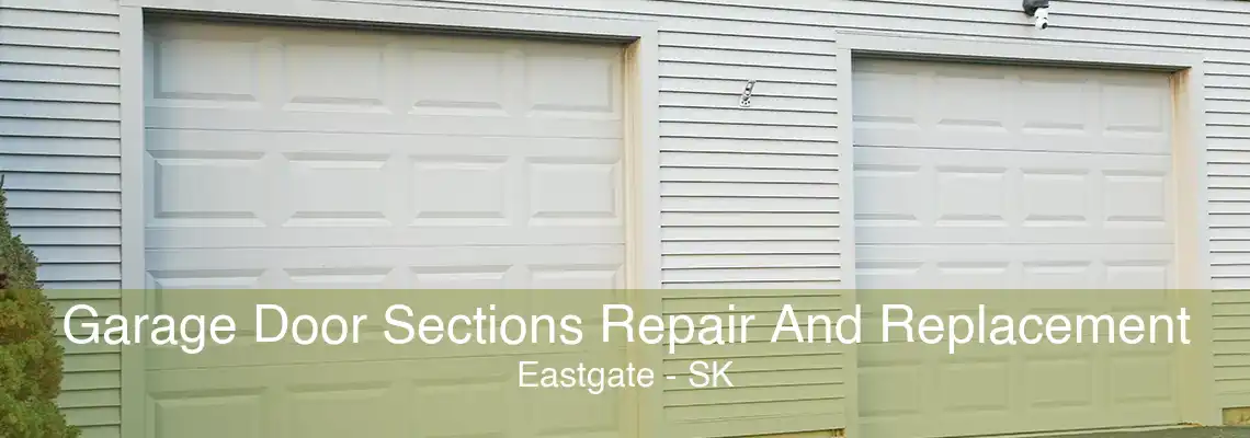 Garage Door Sections Repair And Replacement Eastgate - SK