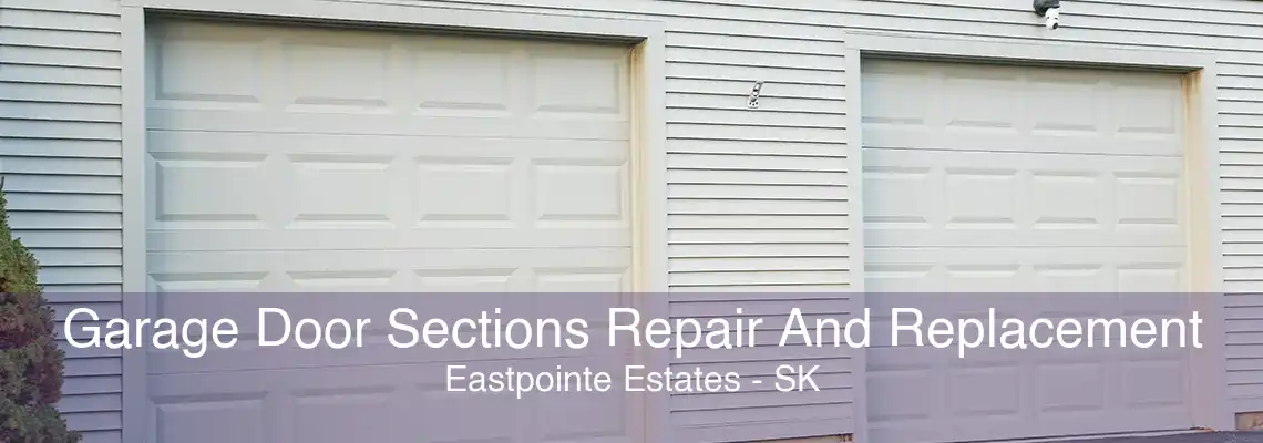 Garage Door Sections Repair And Replacement Eastpointe Estates - SK