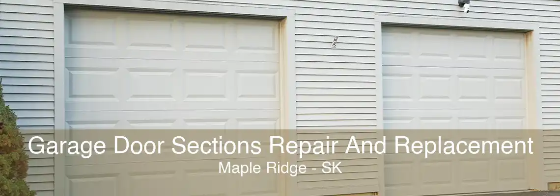 Garage Door Sections Repair And Replacement Maple Ridge - SK