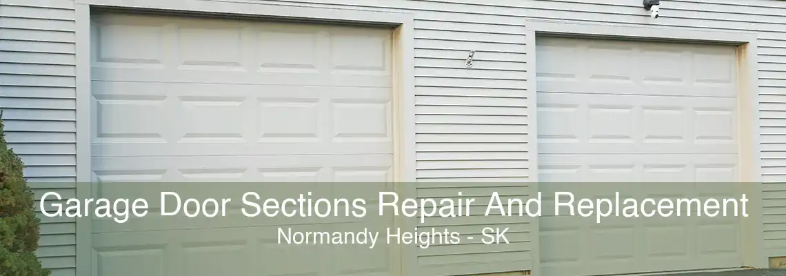 Garage Door Sections Repair And Replacement Normandy Heights - SK