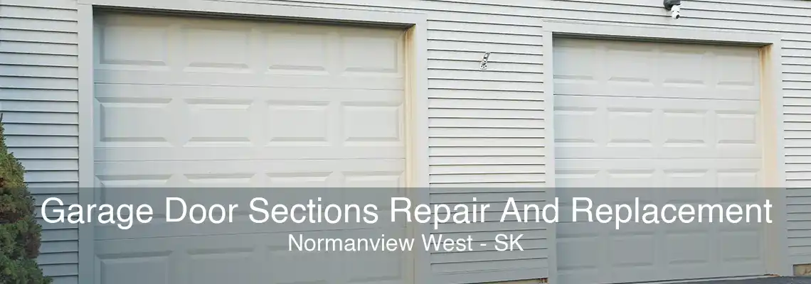 Garage Door Sections Repair And Replacement Normanview West - SK