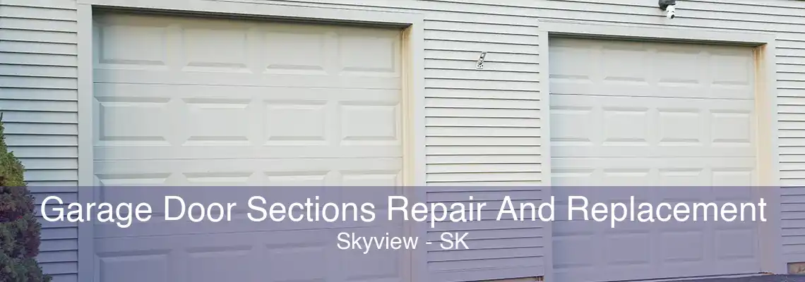 Garage Door Sections Repair And Replacement Skyview - SK
