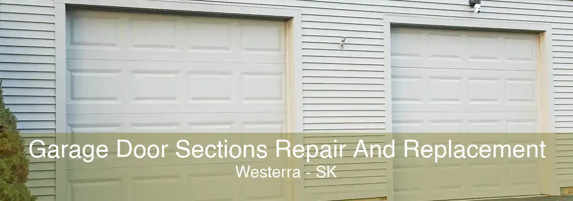 Garage Door Sections Repair And Replacement Westerra - SK