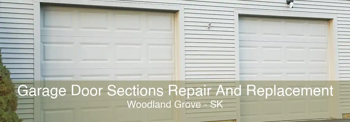 Garage Door Sections Repair And Replacement Woodland Grove - SK