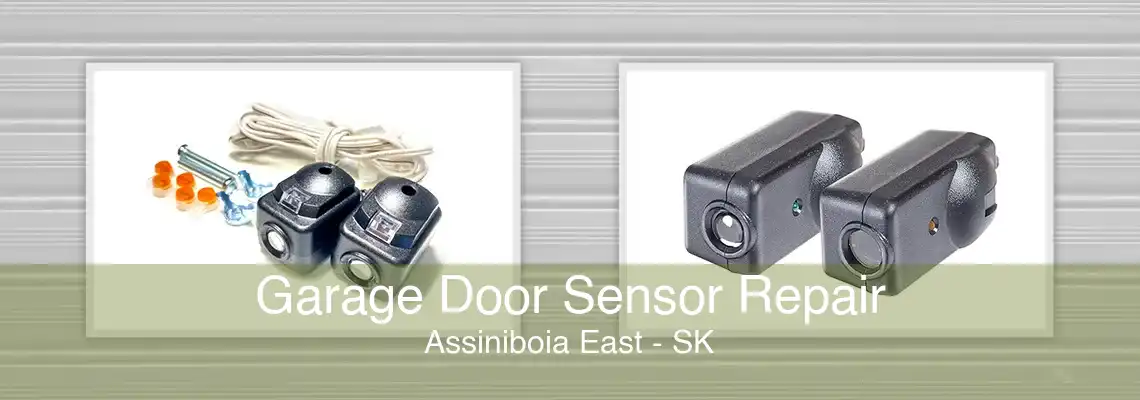 Garage Door Sensor Repair Assiniboia East - SK