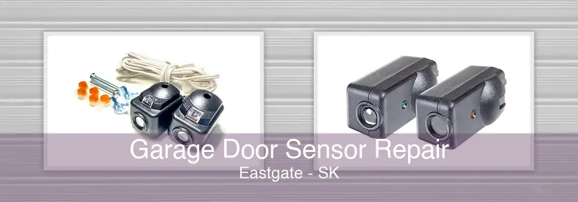 Garage Door Sensor Repair Eastgate - SK