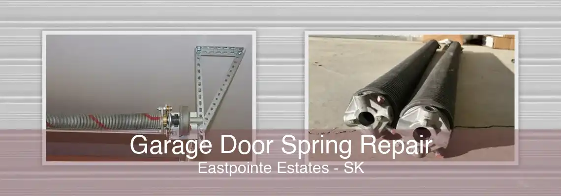 Garage Door Spring Repair Eastpointe Estates - SK