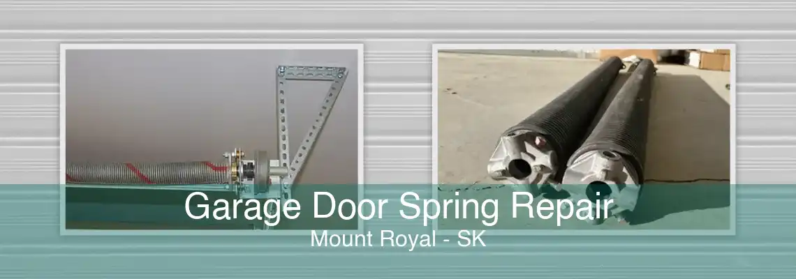 Garage Door Spring Repair Mount Royal - SK