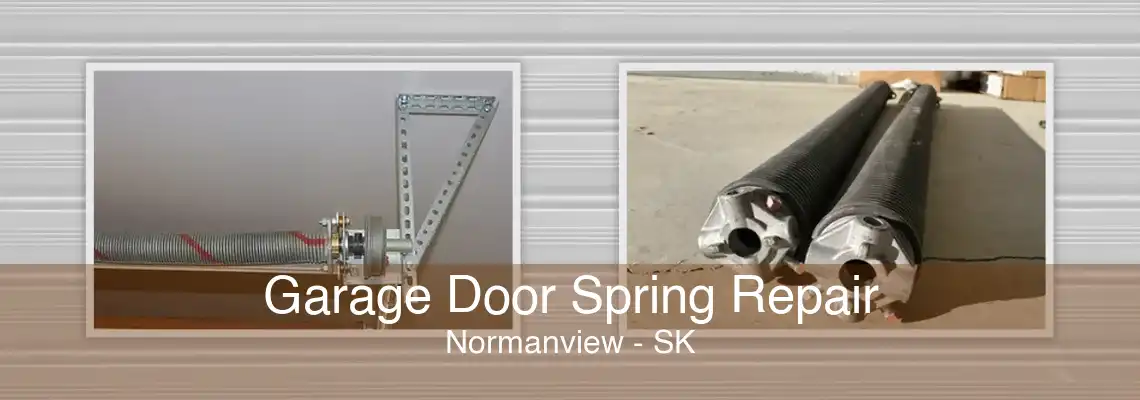 Garage Door Spring Repair Normanview - SK