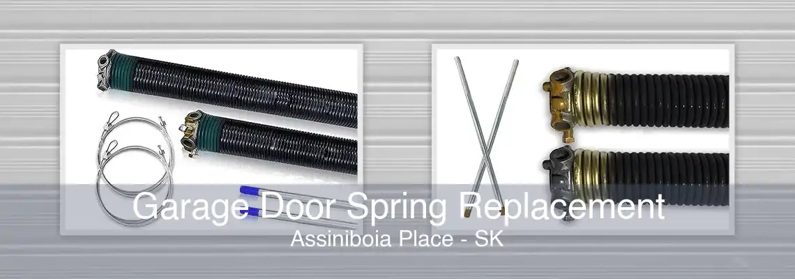 Garage Door Spring Replacement Assiniboia Place - SK