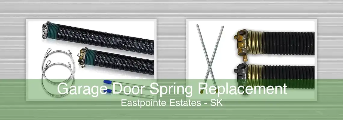 Garage Door Spring Replacement Eastpointe Estates - SK