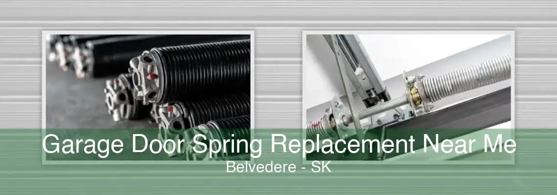 Garage Door Spring Replacement Near Me Belvedere - SK
