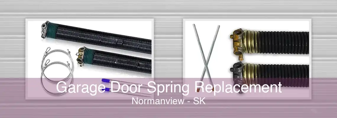 Garage Door Spring Replacement Normanview - SK